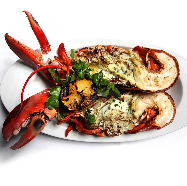 Lobster